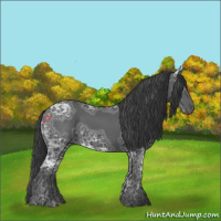 Horse Color:Black Ice 