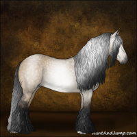 Horse Color:Gray Bay Dun 