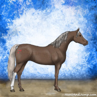 Horse Color:Silver Black 