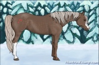 Horse Color:Silver Black 