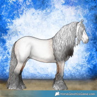 Horse Color:Gray Bay Dun 