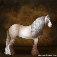 Horse Color:Gray Red Dun 