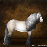 Horse Color:Gray Bay Dun 