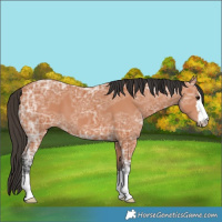 Horse Color:Bay Ice 