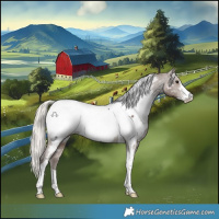 Horse Color:Silver Black Sabino Tobiano Near Fewspot 
