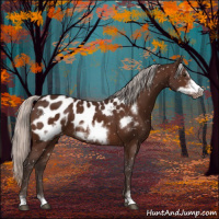 Horse Color:Silver Brown Sabino Frame Appaloosa 