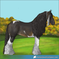 Horse Color:Buckskin Tobiano 