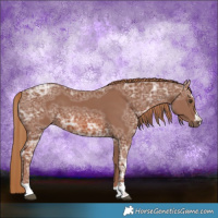Horse Color:Chestnut Ice 