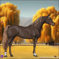 Horse Color:Liver Chestnut Rabicano 