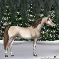 Horse Color:Grullo Pearl Onyx 