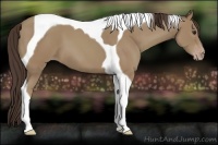Horse Color:Classic Champagne Tobiano 