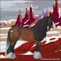 Horse Color:Bay Splash 