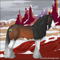 Horse Color:Bay Splash 
