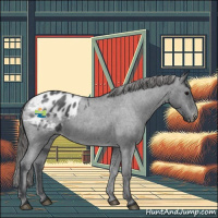 Horse Color:Blue Roan Appaloosa 