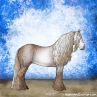 Horse Color:Gray Chestnut 