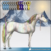 Horse Color:Painted Chestnut Ice