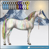 Horse Color:Painted Chestnut Ice