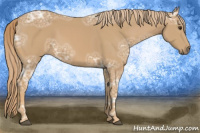 Horse Color:Chestnut Ice 