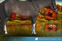 Horse Color:Platinum White Spotted Liver Chestnut 