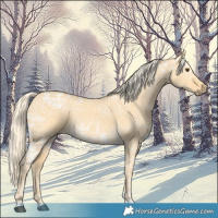 Horse Color:Palomino Ice Dun 