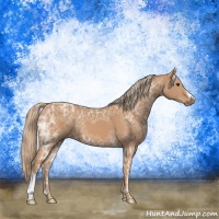Horse Color:Chestnut Ice 