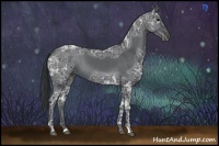 Horse Color:Black Ice 