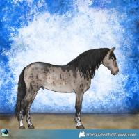 Horse Color:Brown Dun Mushroom Sabino Rabicano Brindle