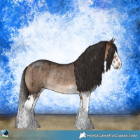 Horse Color:Bay Dun Sabino Splash Rabicano Brindle