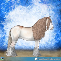 Horse Color:Gold Champagne Onyx Sabino Splash Rabicano 