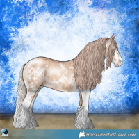 Horse Color:Gold Champagne Dun Sabino Brindle 