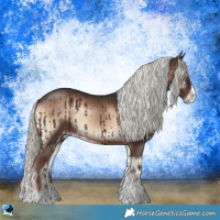 Horse Color:Liver Red Onyx Mushroom Sabino Rabicano