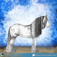 Horse Color:Grullo Onyx Mushroom Sabino Splash Rabicano Brindle 
