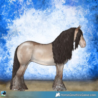 Horse Color:Sable Champagne Dun Sabino Rabicano 