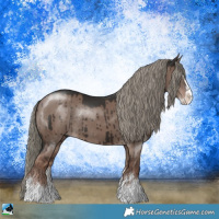 Horse Color:Liver Red Dun Mushroom Sabino Splash Rabicano Brindle 