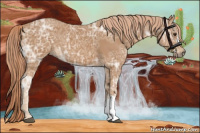 Horse Color:Chestnut Ice 