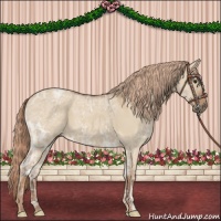 Horse Color:Red Dun Ice 