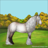 Horse Color:Gray Silver Black Pearl Tobiano