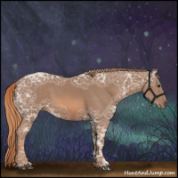Horse Color:Chestnut Ice 