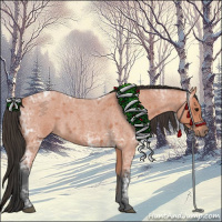 Horse Color:Bay Ice Roan 