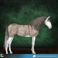 Horse Color:Liver Red Dun Mushroom Sabino Splash Rabicano Brindle