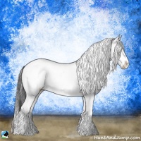 Horse Color:Grullo Onyx Sabino Brindle