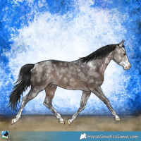 Horse Color:Brown Ice Dun Mushroom Sabino Rabicano 