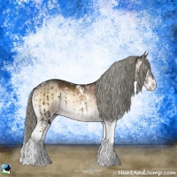 Horse Color:Liver Red Dun Onyx Mushroom Sabino Brindle 