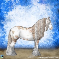 Horse Color:Gold Champagne Sabino Rabicano 