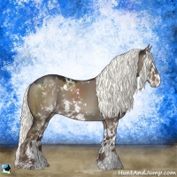 Horse Color:Liver Red Dun Mushroom Sabino Rabicano