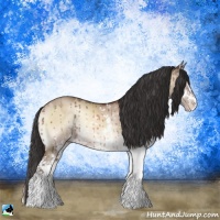 Horse Color:Sable Champagne Onyx Sabino Rabicano Brindle 