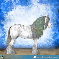 Horse Color:Nacre Liver Red Dun Splash Appaloosa 