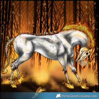 Horse Color:Gray Chestnut Ice Near Leopard 