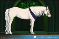 Horse Color:Cremello 