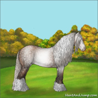 Horse Color:Gray Silver Black Pearl Tobiano